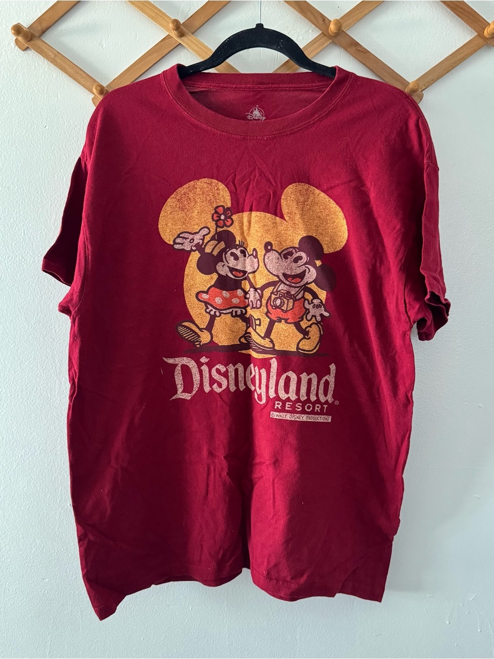 Disneyland Resort tshirt